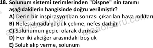 ata cocukgelisimlisans 1445 18