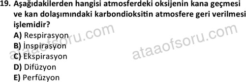 ata cocukgelisimlisans 1445 19
