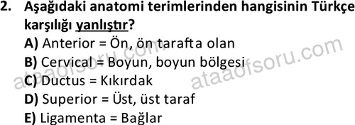ata cocukgelisimlisans 1445 2