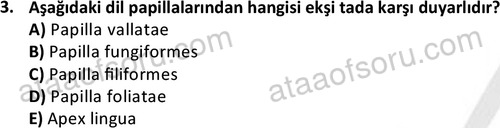 ata cocukgelisimlisans 1445 3