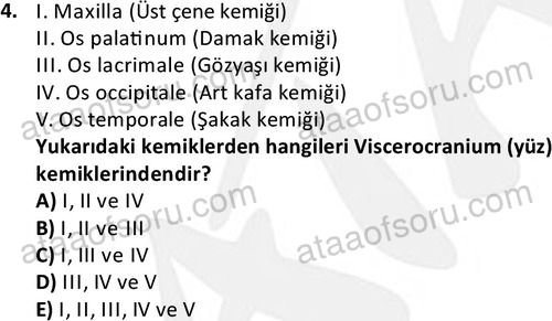 ata cocukgelisimlisans 1445 4