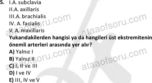 ata cocukgelisimlisans 1445 5