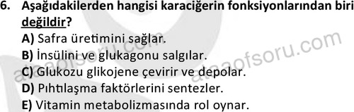 ata cocukgelisimlisans 1445 6