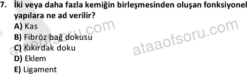 ata cocukgelisimlisans 1445 7