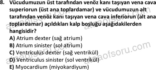 ata cocukgelisimlisans 1445 8