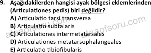 ata cocukgelisimlisans 1445 9
