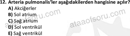 ata cocukgelisimlisans 1445 12