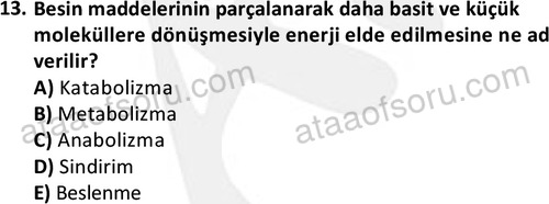ata cocukgelisimlisans 1445 13