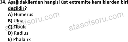 ata cocukgelisimlisans 1445 14