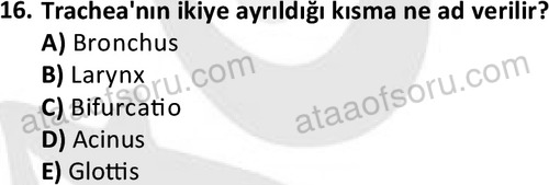 ata cocukgelisimlisans 1445 16