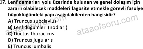 ata cocukgelisimlisans 1445 17