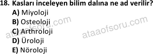 ata cocukgelisimlisans 1445 18