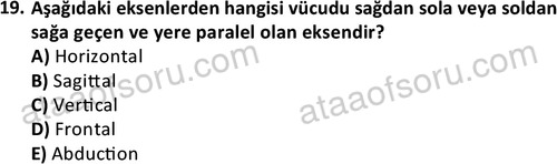 ata cocukgelisimlisans 1445 19