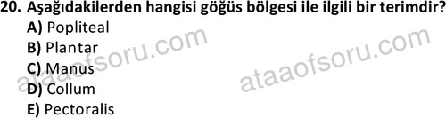 ata cocukgelisimlisans 1445 20