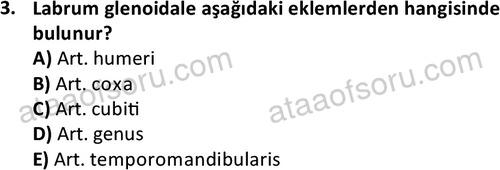 ata cocukgelisimlisans 1445 3
