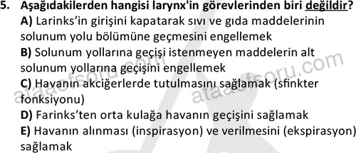 ata cocukgelisimlisans 1445 5