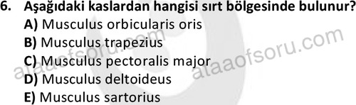 ata cocukgelisimlisans 1445 6