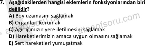 ata cocukgelisimlisans 1445 7