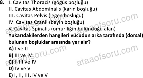 ata cocukgelisimlisans 1445 8