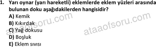 ata cocukgelisimlisans 1445 1