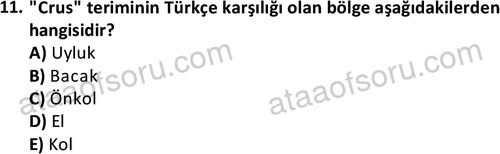 ata cocukgelisimlisans 1445 11