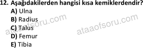 ata cocukgelisimlisans 1445 12