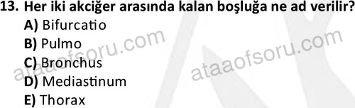 ata cocukgelisimlisans 1445 13