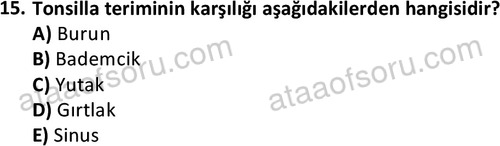 ata cocukgelisimlisans 1445 15