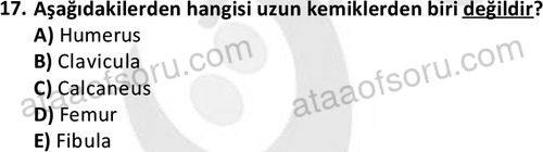 ata cocukgelisimlisans 1445 17