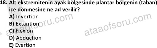 ata cocukgelisimlisans 1445 18