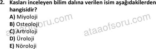 ata cocukgelisimlisans 1445 2