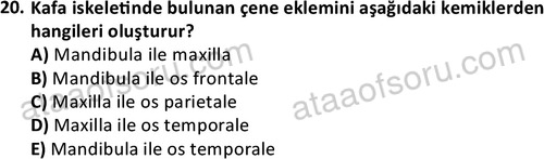 ata cocukgelisimlisans 1445 20