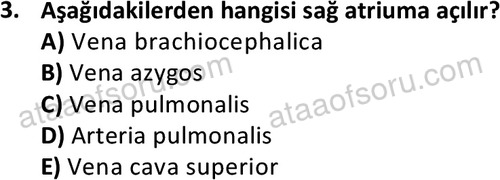 ata cocukgelisimlisans 1445 3