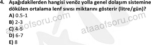 ata cocukgelisimlisans 1445 4