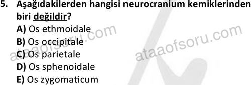 ata cocukgelisimlisans 1445 5
