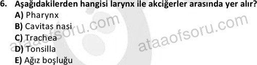 ata cocukgelisimlisans 1445 6