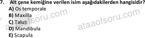 ata cocukgelisimlisans 1445 7