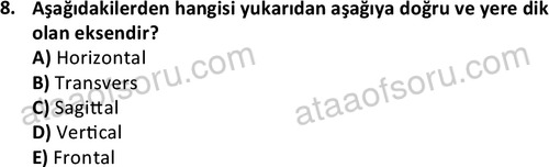 ata cocukgelisimlisans 1445 8