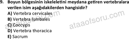 ata cocukgelisimlisans 1445 9