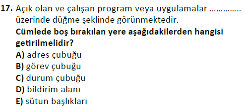 ata cocukgelisimlisans 1442 17