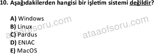 ata cocukgelisimlisans 1442 10