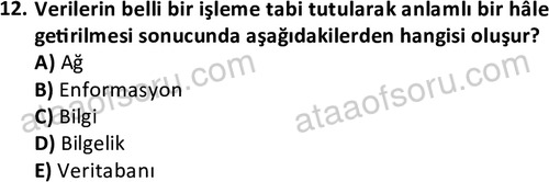 ata cocukgelisimlisans 1442 12