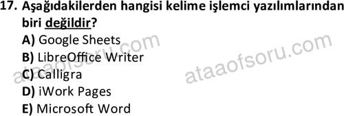 ata cocukgelisimlisans 1442 17