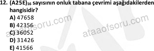 ata cocukgelisimlisans 1442 12