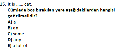 ata cocukgelisimlisans 1441 15
