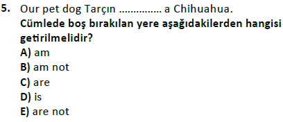 ata cocukgelisimlisans 1441 5