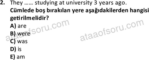 ata cocukgelisimlisans 1441 2