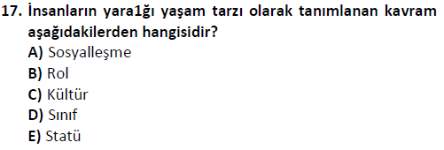ata cocukgelisimlisans 1452 17