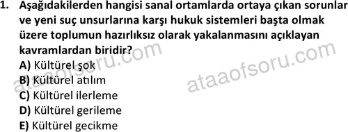 ata cocukgelisimlisans 1452 1