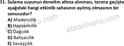 ata cocukgelisimlisans 1452 11